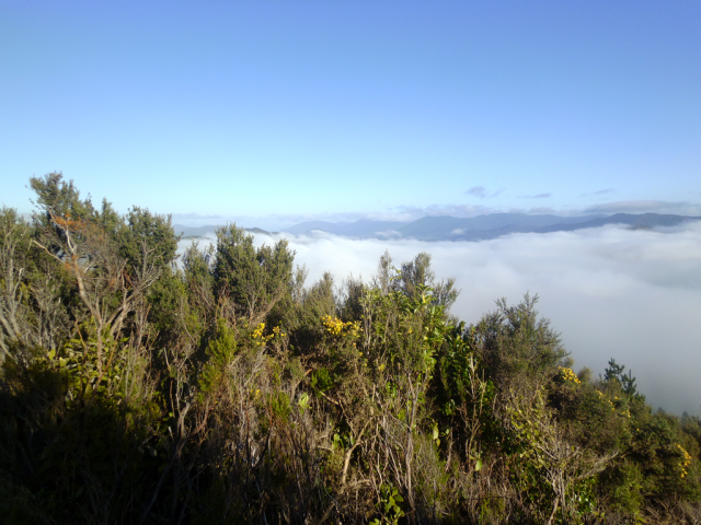 2012-05-03 09.19.21 2012-05-03 09.19.21